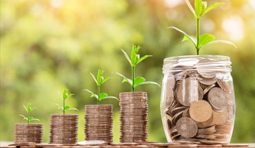 Plants growing from piles of coins
